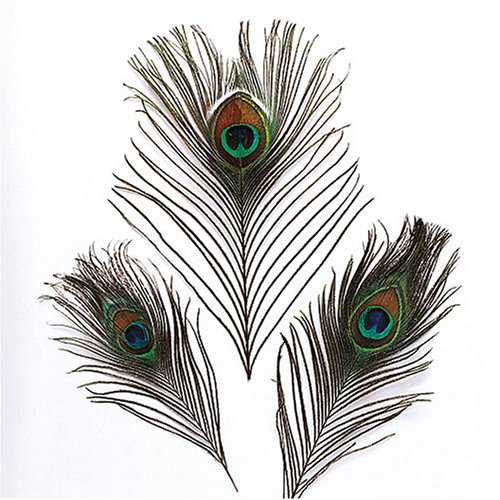 Plumas Pavo Real 20 cm 3ud – Loba Manualidades